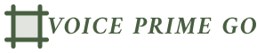 Voice Prime Go